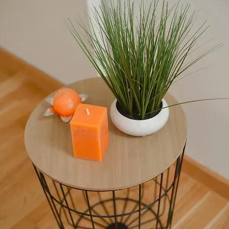 San Wellness & Apartamento Zlatibor